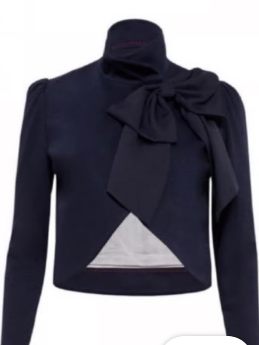 Alice and Olivia Jacket